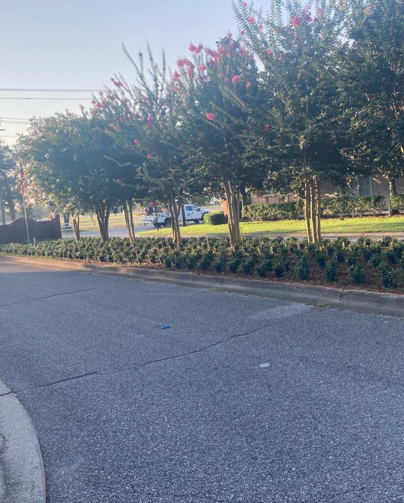 Landscaping in Pensacola