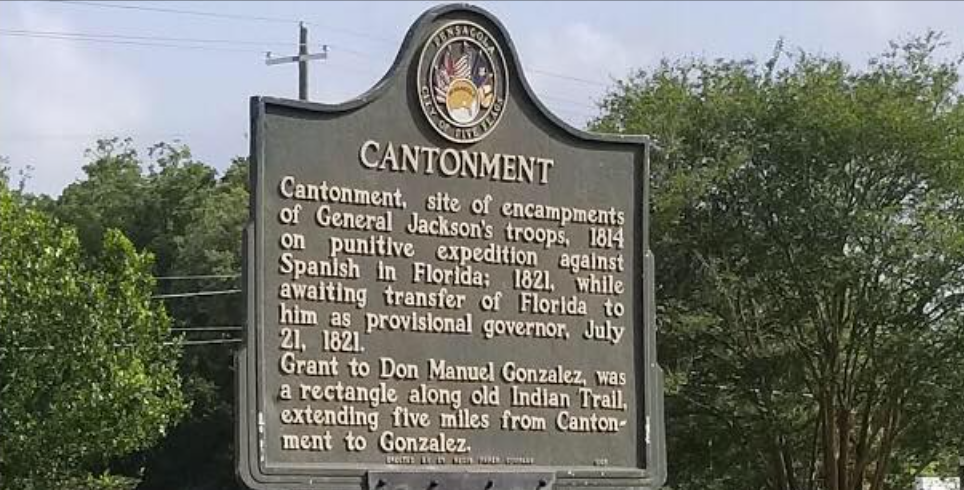 Landscaper in Cantonment