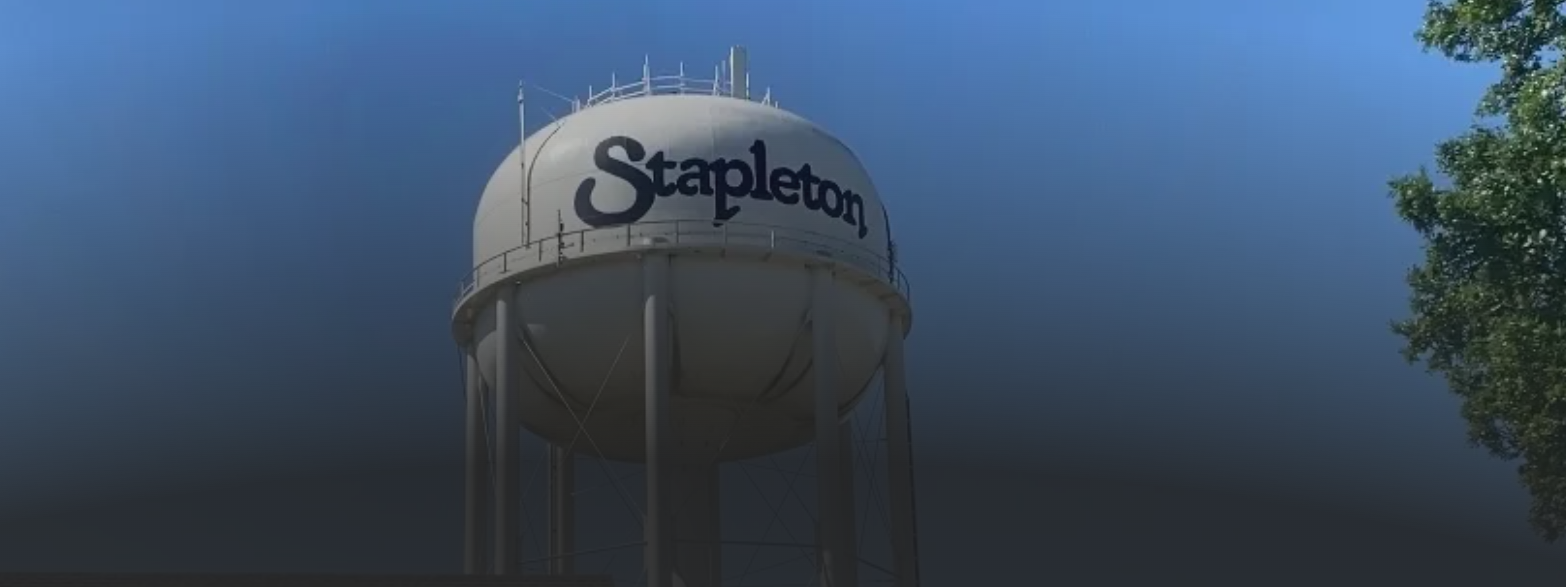 Landscaping in Stapleton